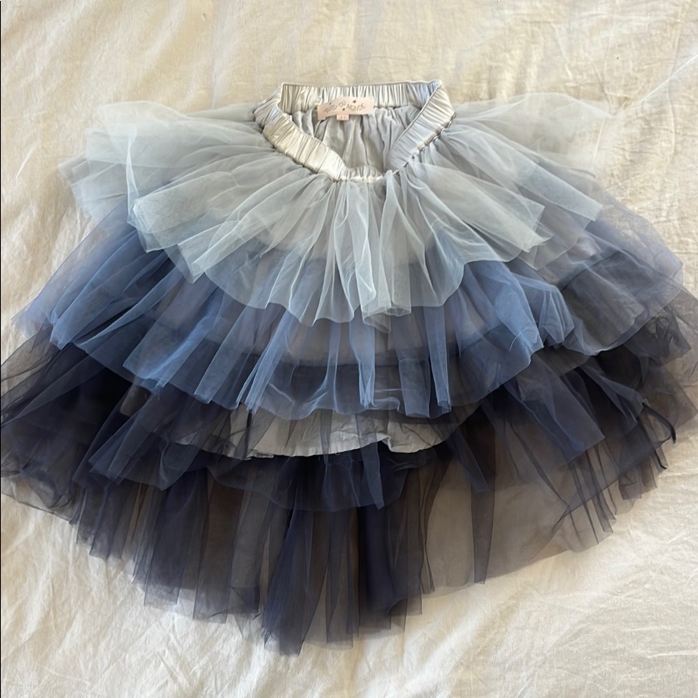 Elegant Blue Layered Tulle Skirt